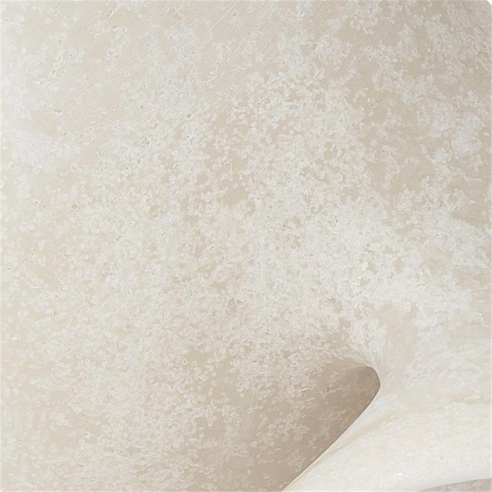 MAKLAINE Organic Sculptural Polyresin Table Decor, White